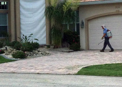 INSTAR Lawn, Lawn Maintenance Services