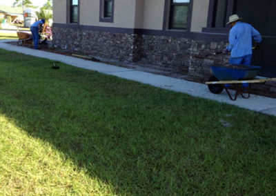 INSTAR Lawn, Landscape Upgrade