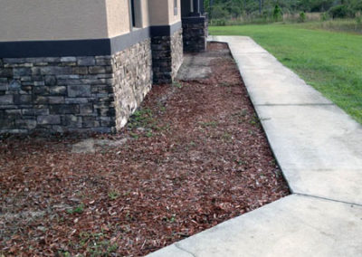 INSTAR Lawn, Landscape Upgrade