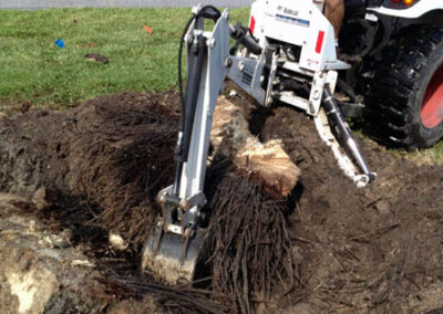 INSTAR Lawn, Tractor, Cleanup Services