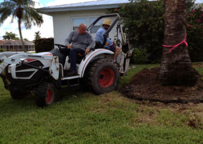 INSTAR Lawn, Tractor, Cleanup Services