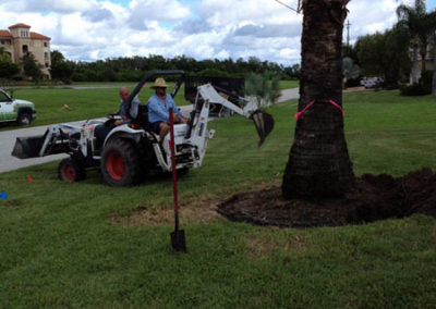 INSTAR Lawn, Tractor, Cleanup Services