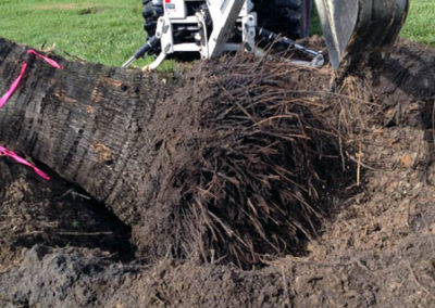 INSTAR Lawn, Tractor, Cleanup Services