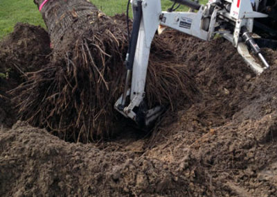 INSTAR Lawn, Tractor, Cleanup Services