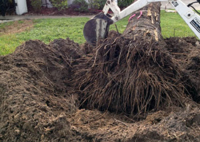 INSTAR Lawn, Tractor, Cleanup Services