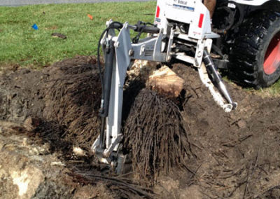 Breaking up the Root Ball