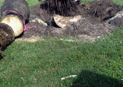 INSTAR Lawn, Tractor, Cleanup Services