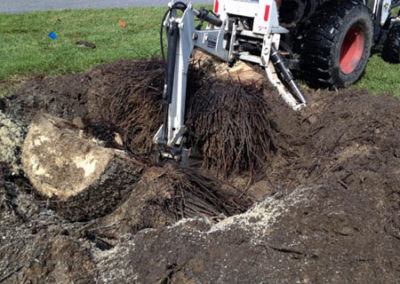 INSTAR Lawn, Tractor, Cleanup Services