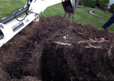 INSTAR Lawn, Tractor, Cleanup Services