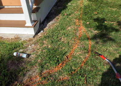 INSTAR Lawn, LandscapWalkway Installation