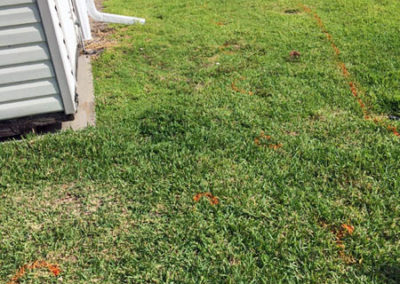 INSTAR Lawn, LandscapWalkway Installation