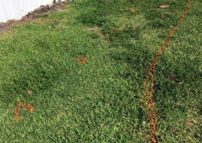 INSTAR Lawn, LandscapWalkway Installation