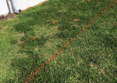 INSTAR Lawn, LandscapWalkway Installation