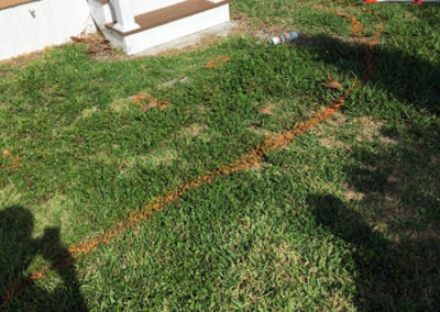 INSTAR Lawn, LandscapWalkway Installation