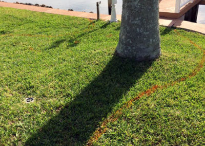 INSTAR Lawn, LandscapWalkway Installation