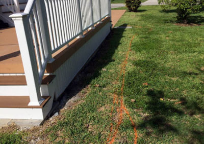 INSTAR Lawn, LandscapWalkway Installation