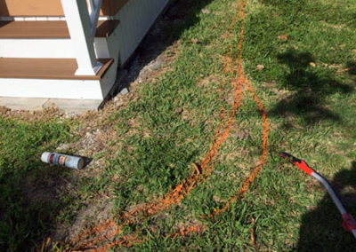 INSTAR Lawn, LandscapWalkway Installation